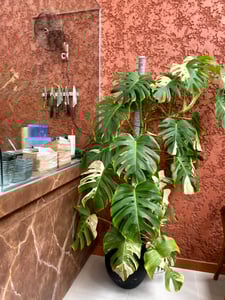 Sudut Jalan Hang & Court, HM. Said