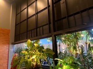 House of Brew, HM Joni